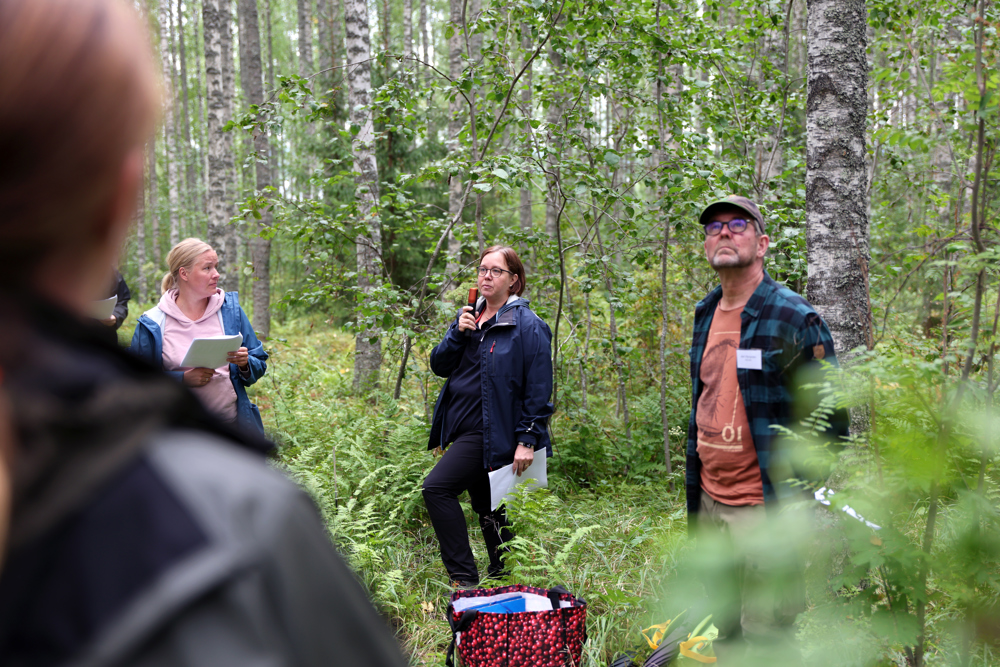 Persons presenting and people listening in forest. Photo.