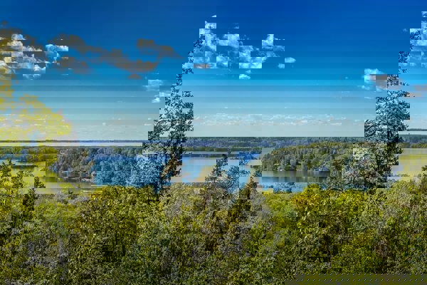 Översikt över blandskog och sjöar i solsken och blå himmel. Foto.